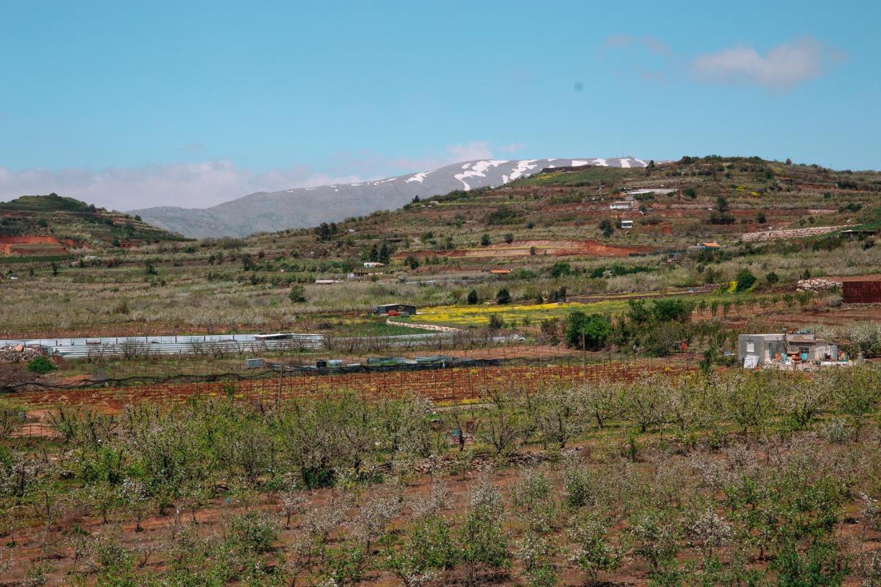 Grand Golan Villa Buq'ata Екстериор снимка